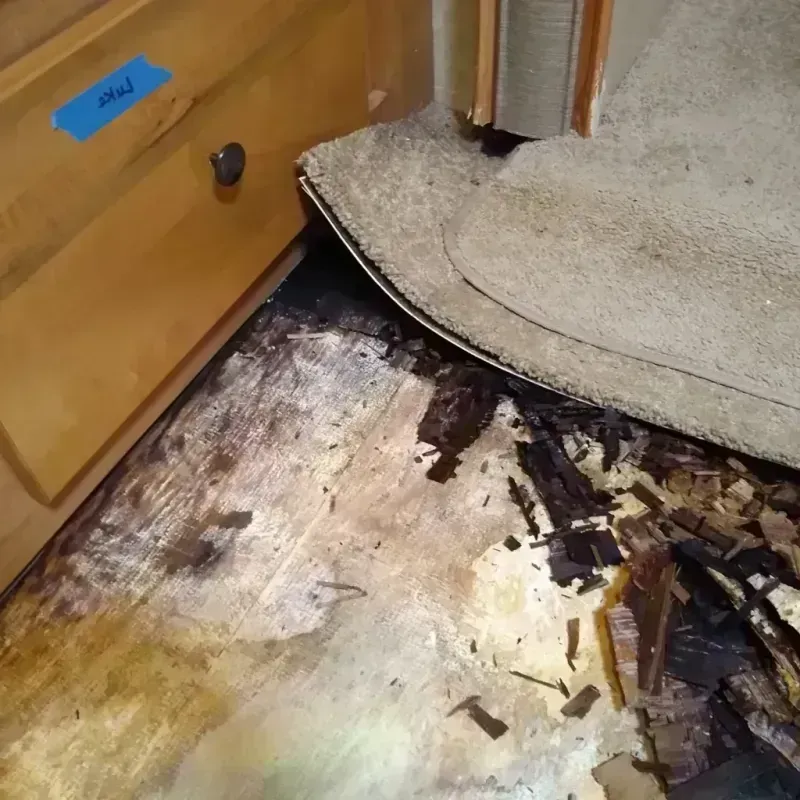 Wood Floor Water Damage in Copperopolis, CA